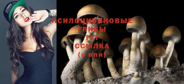 мескалин Сатка