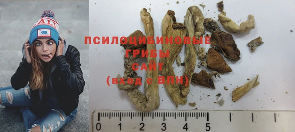 apvp Володарск