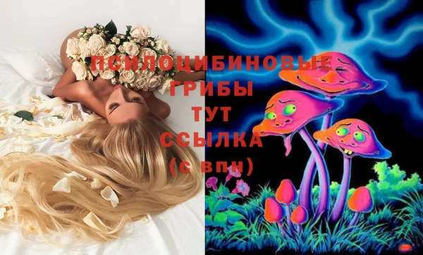 apvp Володарск
