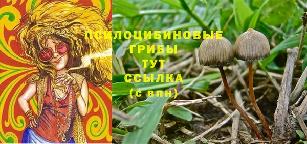 не бодяженный Верея